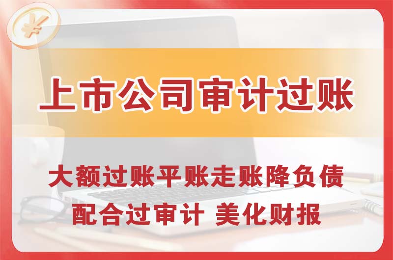 巢湖上市公司审计过账